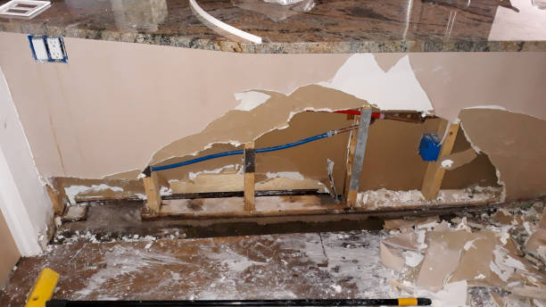 Best Flood restoration services  in Southern Pines, NC